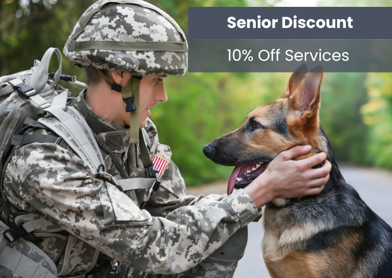 Carousel Slide 4: Showing our appreciation to our Veterans!