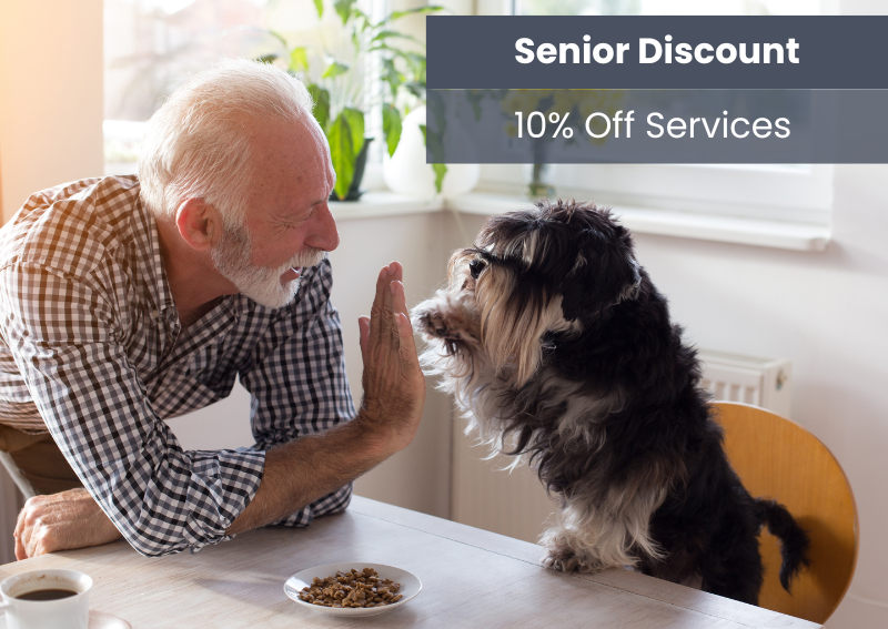 Carousel Slide 3: Enjoy our Senior specials